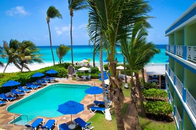 Sunbeds & palm trees by the outdoor pool area at Dover Beach Hotel