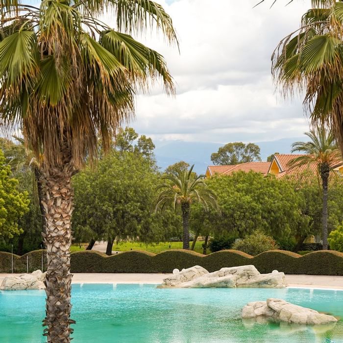 Palm trees by the outdoor pool at Falkensteiner Hotels