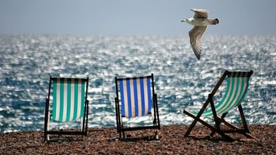 Three beach chairs on pebble beach with ocean view and seagull flying overhead on a clear day.