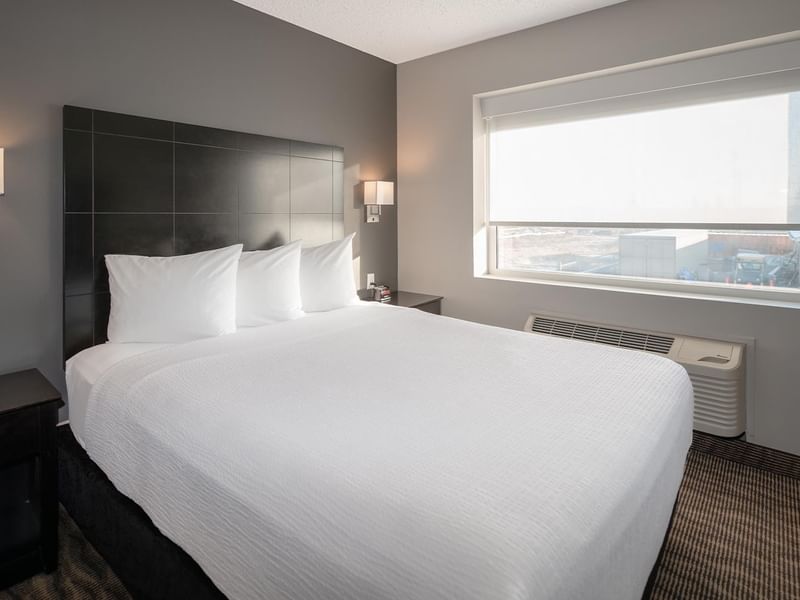 A white bed with pillows in a hotel room with window