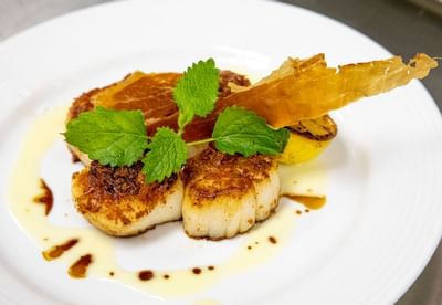 Close-up of a scallops dish served at Trianon Bonita Bay