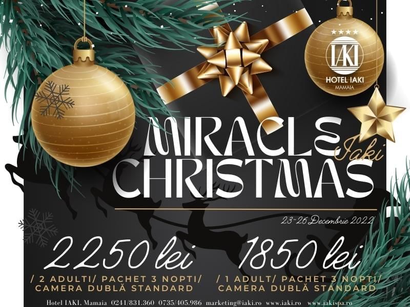 Craciun fara terapii
