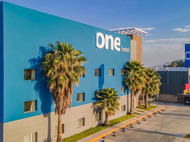 Exterior with palm trees at One Saltillo Aeropuerto