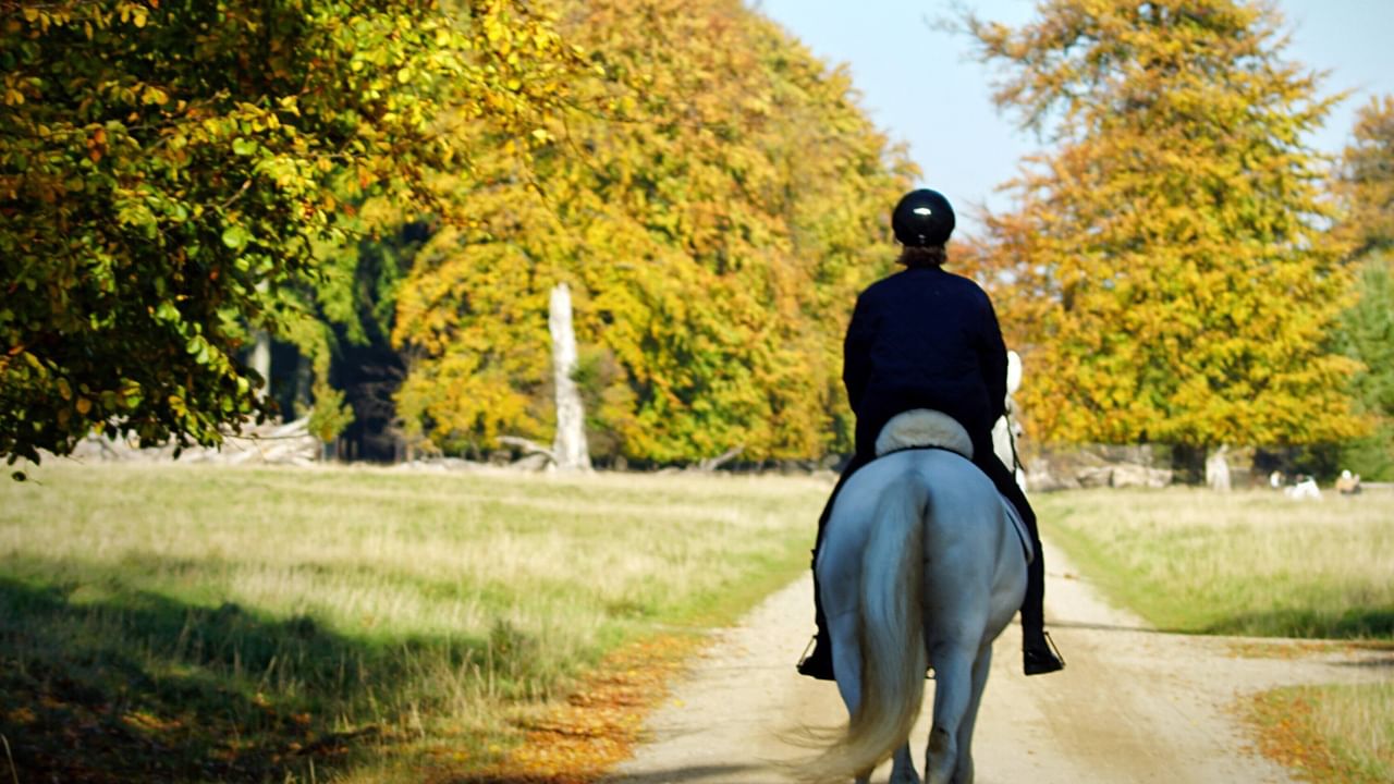 Someone riding a horse