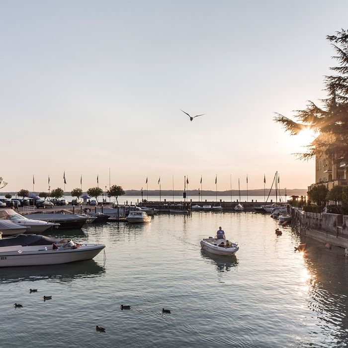 Boats moored at a marina during sunset, with a person in a small boat and ducks swimming.
