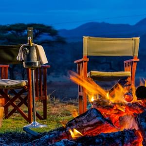 Bush dining experience