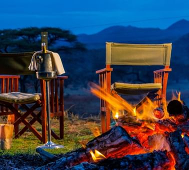 Bush dining experience