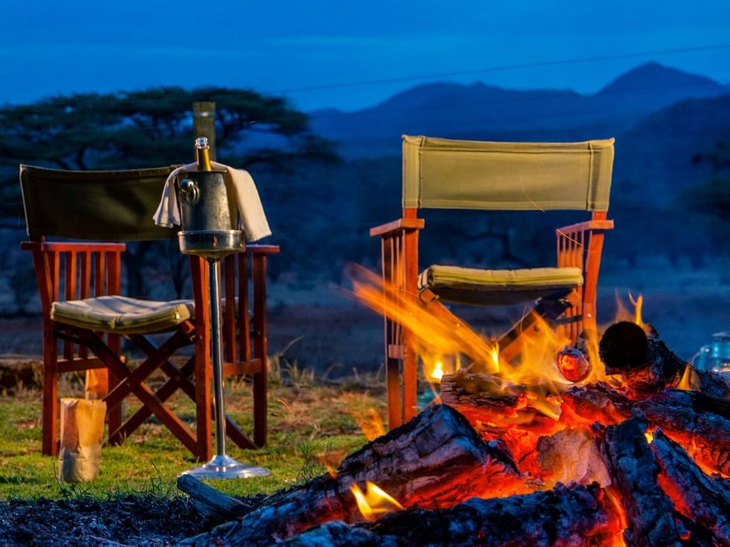 Bush dining experience