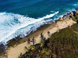 Aerial view of a sandy beach cove with palm tree shadows, bordered by jungle, meeting the blue ocean waves near Royal Isabela
