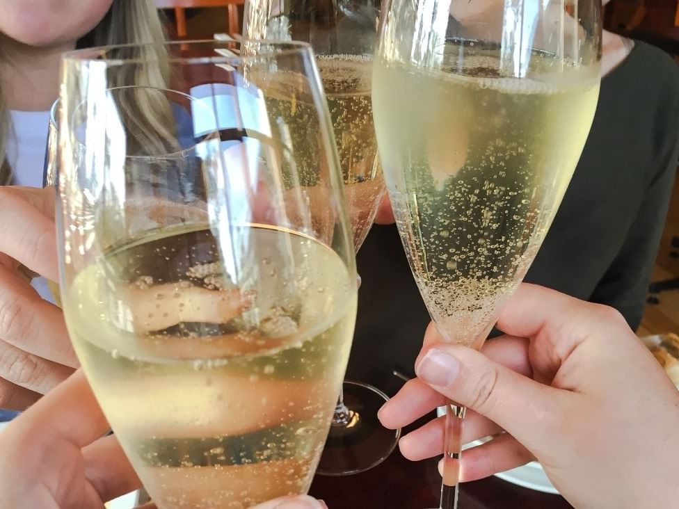 Three Drink glasses on hands at Cradle Mountain Hotel