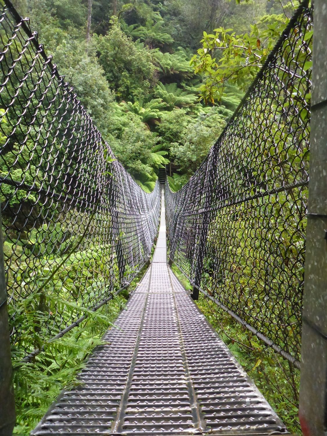 Swing bridge in the Motezuma Falls near Strahan Village