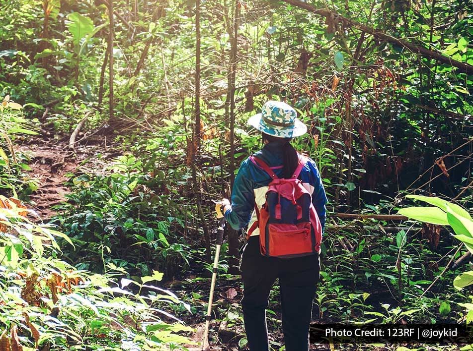 Hiker with backpack and walking stick on a lush forest trail - Lexis Port Dickson