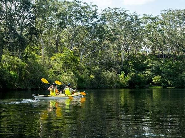 Couple kayaking in Lane Cove National Park near Nesuto Hotels