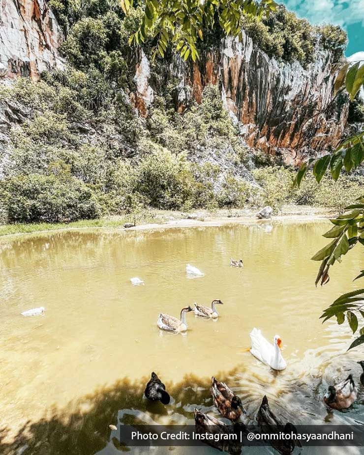 A group of ducks was swimming in a pond in front of a cliff - Lexis Suites Penang