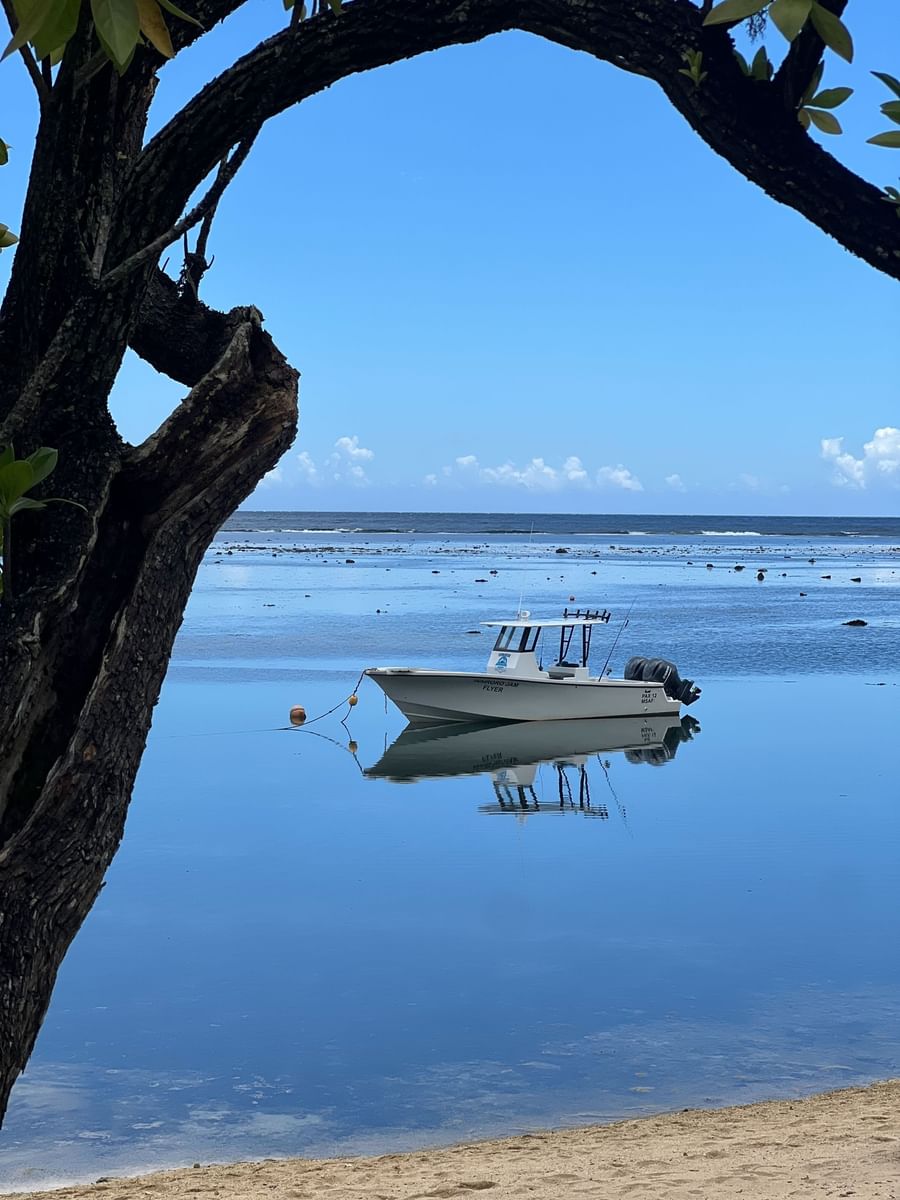 Boat on a blue water with reflections and tree at Warwick Fiji Resort and Spa.