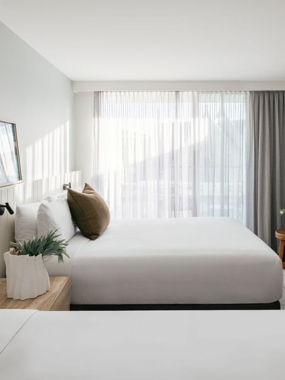Village Terrace Twin at Elysium Manly with white linen beds by wooden side tables, best places to stay in Manly