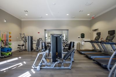 treadmills and equipment in a gym