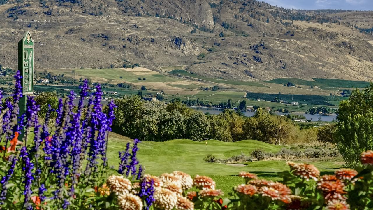 beautiful golf course with flowers