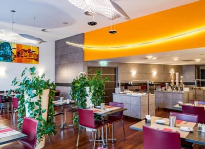 Tables & indoor plant decors in Breakfast Room at Hotel Sternen