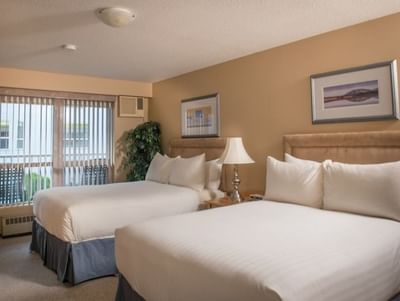 Two queen beds with soft headboards, a plant by the window in Standard Double with Pool View at Hilltop Inn, Salmon Arm
