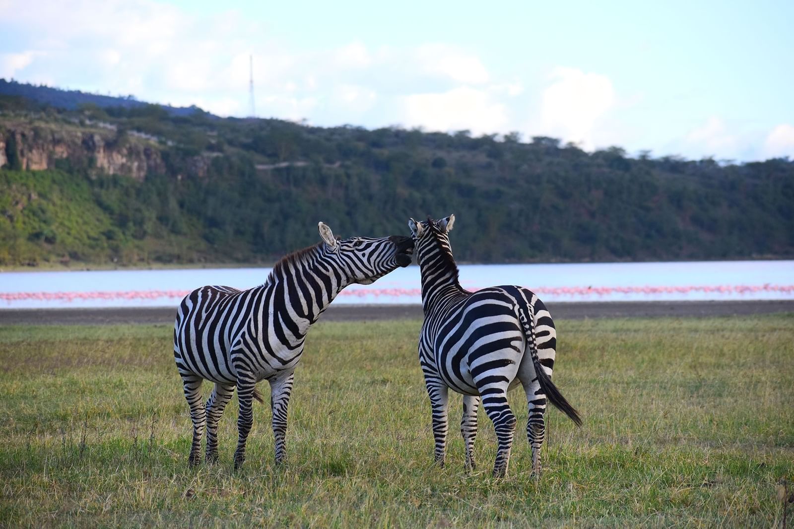 Lake Elmenteita Serena Camp, Elmenteita – Updated 2023 Prices