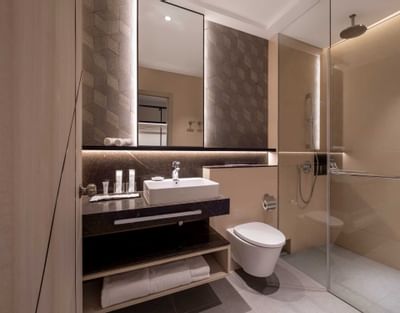 Deluxe King/Queen Bathroom | Hotels Book Singapore