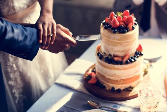 Bride and groom cutting into wedding cake topped with fruit