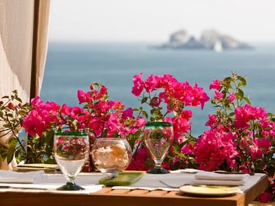 Bougainvilleas by a table in Las Rocas restaurant, Cala de Mar