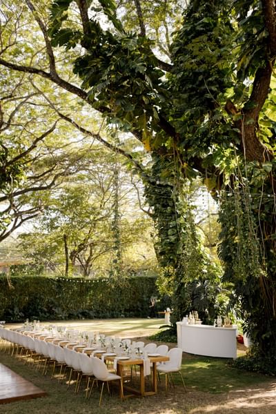 Outdoor dining setup under leafy trees with a long table, chairs and string lights at El Mangroove Hotel