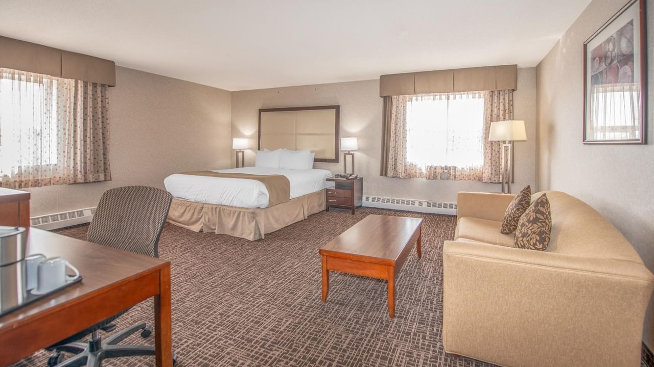 A hotel room with a bed, couch, desk, chair, and two windows with curtains.