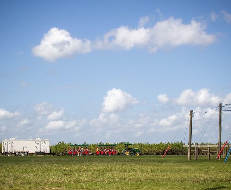 A green tractor pulls two red trailers with passengers in front of a field of blueberry bushes against a blue sky with fluffy clouds.