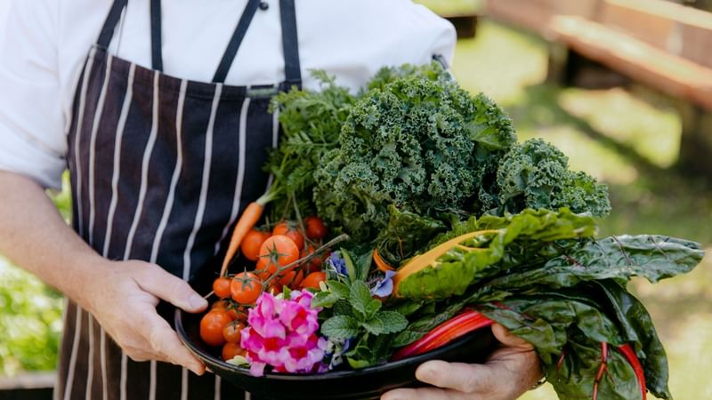 Chef holding a bowl of fresh vegetables illustrating sustainability and accessibility at Mercure Gold Coast Resort in Carrara.