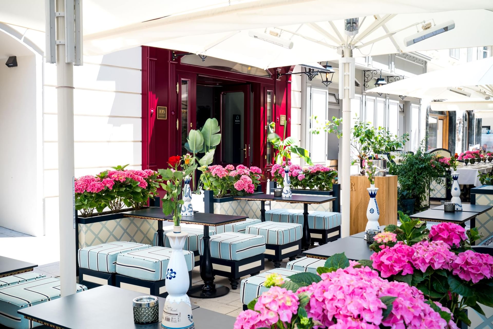 Gemütliche Terrasse mit Blumen geschmückt. Vor dem Restaurant DOTS at THE LEO GRAND in der Wiener Innenstadt.
