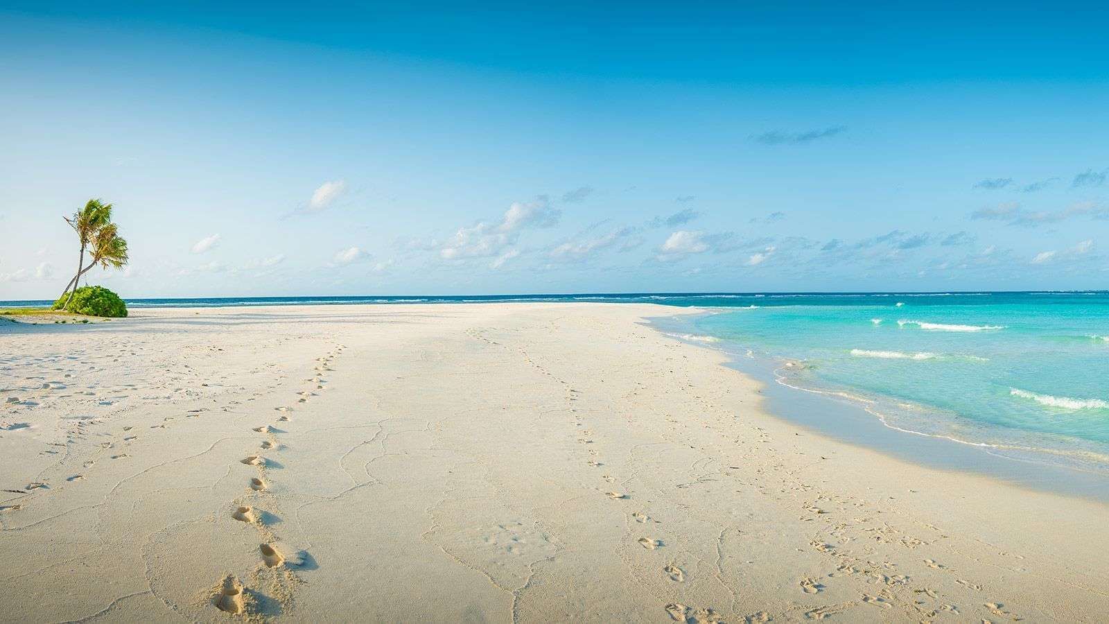 Footprints on the sandy beach near The Signature Collection