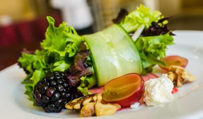 lettuce appetizer