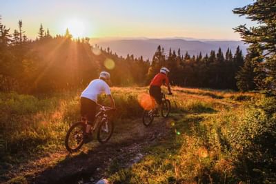 cycling through the forrest