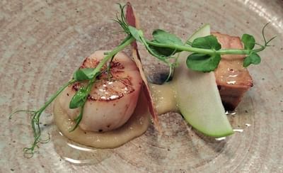 Close-up of a Seared Scallops dish served at Orsett Hall Hotel