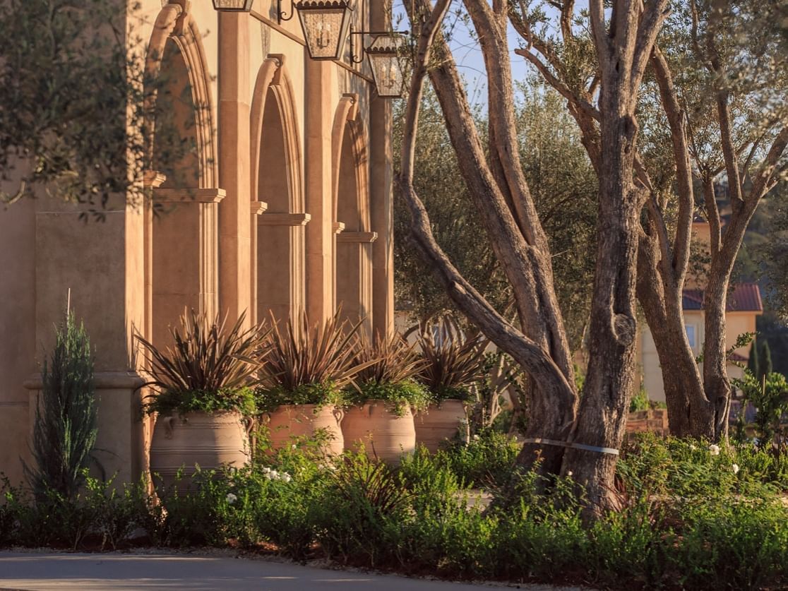 Allegretto Vineyard Resort's stone archways 