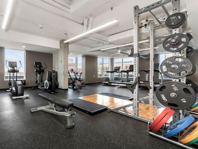 Modern fitness centre with cardio machines, weight racks, benches, and large windows with natural light.