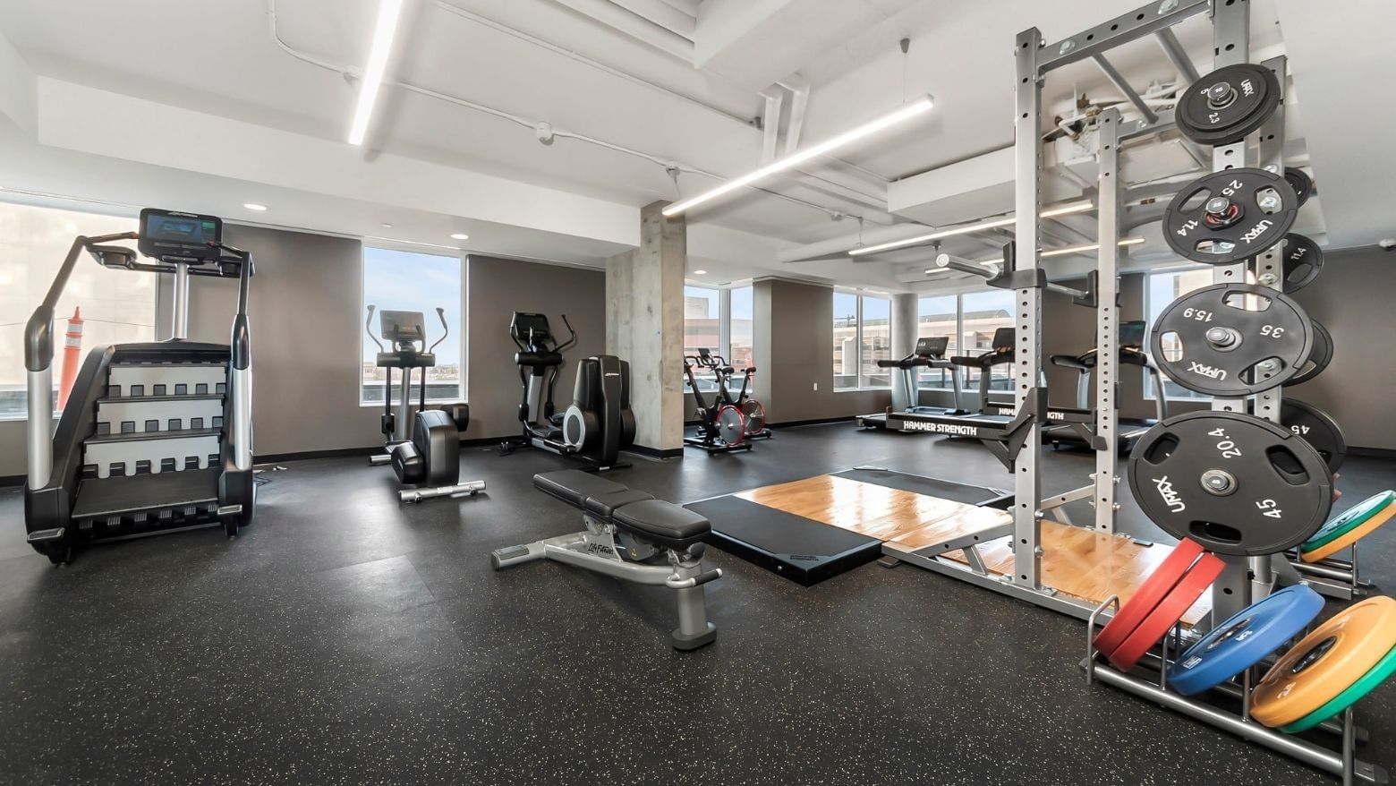 Modern fitness centre with cardio machines, weight racks, benches, and large windows with natural light.