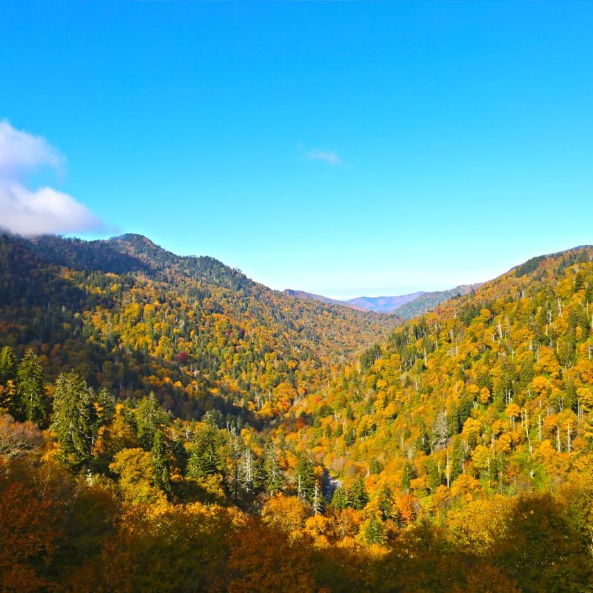 October is the Best Time to Visit Pigeon Forge