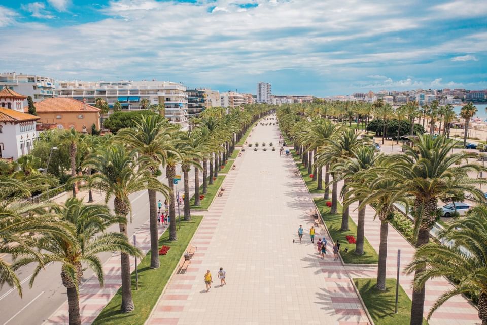 Aerial view of walkway flanked by palm trees and skyline near Ponient Dorada Palace