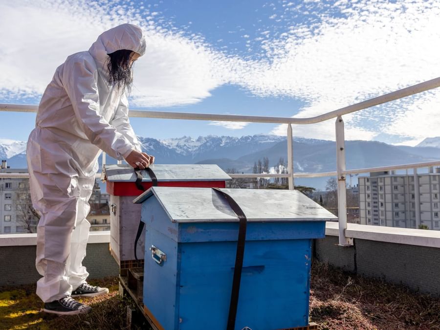A beekeeper working at roof-top bee farm at Originals Hotels