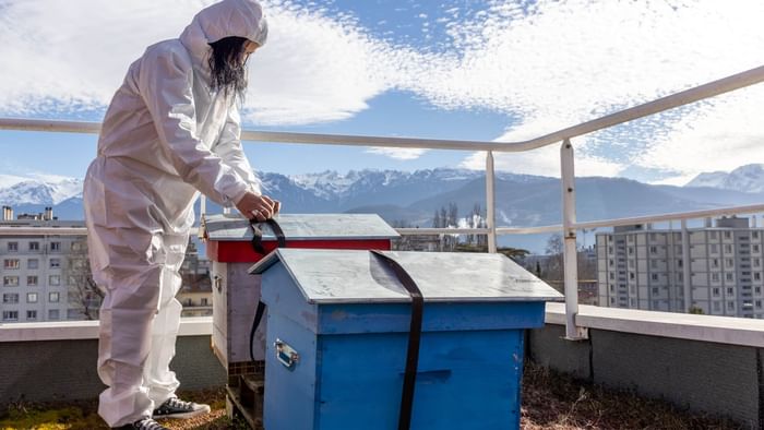 A beekeeper working at roof-top bee farm at Originals Hotels