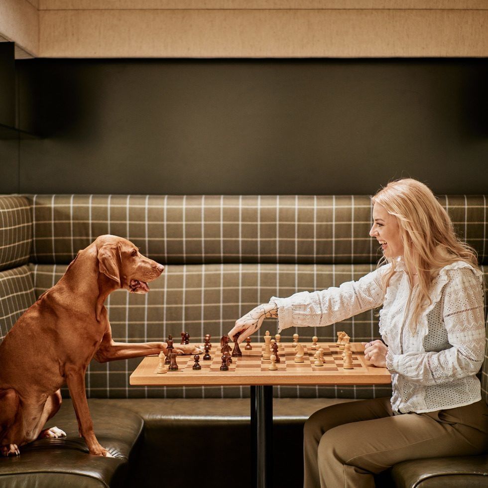 Frau spielt Schach mit einem Hund auf einem Tisch in einem Raum mit kariertem Sofa.