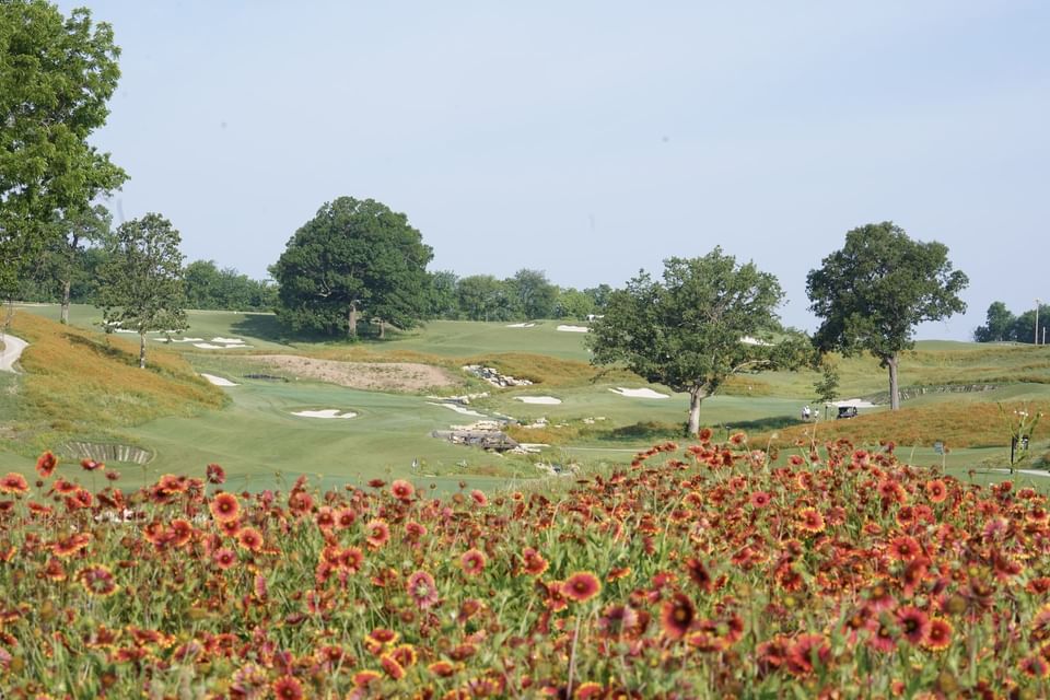 Landscape view of the Golf course a lawn of flowers at Shangri-La Monkey Island