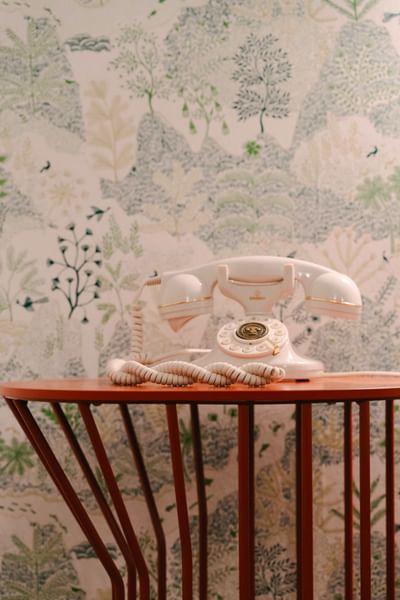 dettaglio dello studio botanicus