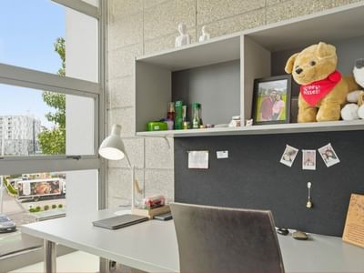 Cozy student room with desk, lamp, and stuffed toys at Student Living Auckland Beach.