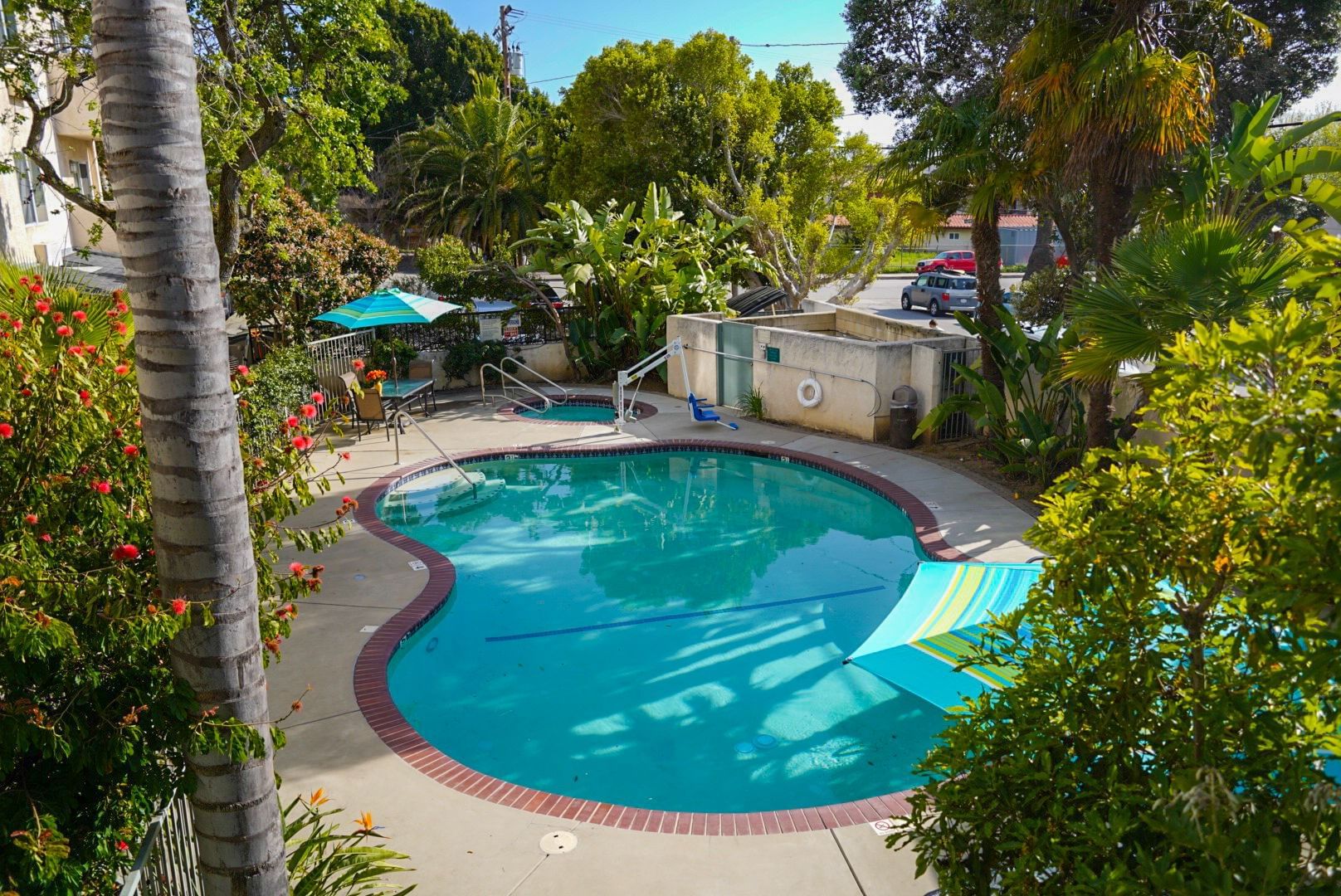 A kidney-shaped pool with turquoise water and a red brick border, surrounded by greenery and lounge chairs.