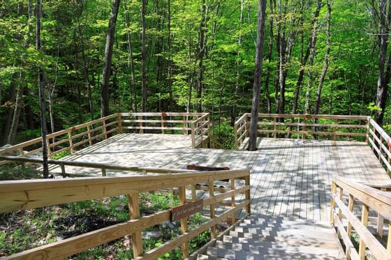 Stairs and wooden deck in woods near Honor’s Haven Retreat